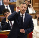 Magyarország fölgyújtása 