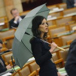 A két Berni
