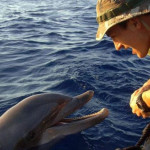 Harci delfinek védik az orosz fekete-tengeri flottát Szevasztopolnál 