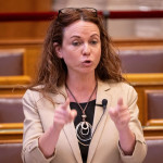 Bayer Zsolt: Pornóbuli a Tisza partján (Pártján)