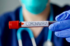 A magyar "koronavírus"