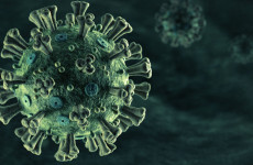 Antidogma - Koronavírus-infó vájt fülűeknek