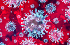 Drámai mértékben nö a koronavírus mennyisége a szennyvízben