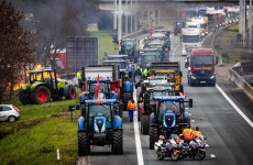 Hígtrágya és pogrom Hollandiában