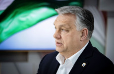 Pokol Béla: Szocialista címke a krumpliszsákokon