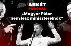 Ankét Feróval – Az egykori „nemzet csótánya”  szerint a poloska lét nem olyan jó + videó