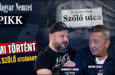 Lerántjuk a leplet Zsolti bácsiról – Pikk Bayerrel és Ambrózyval