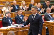 Kutyaszorítóban Kutyaszorítóban