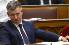 Mint hal a szatyorban