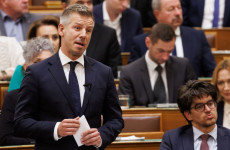 Bayer Zsolt: Áradás, sötétség, búvárok