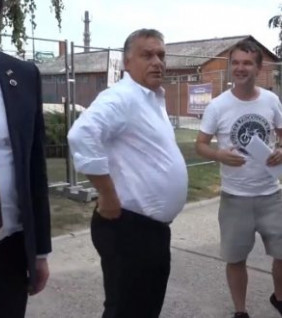 A focipálya, a nyuszika és a pocak esete