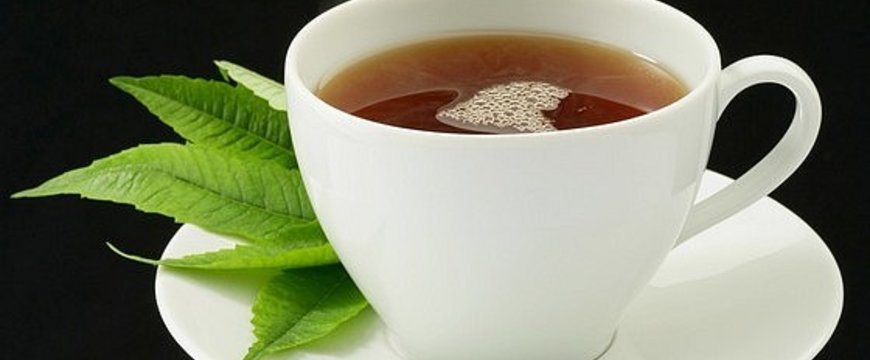 Karcsúsító tea: legújabb vélemények, a legjobbak kiválasztása - Társadalom - 