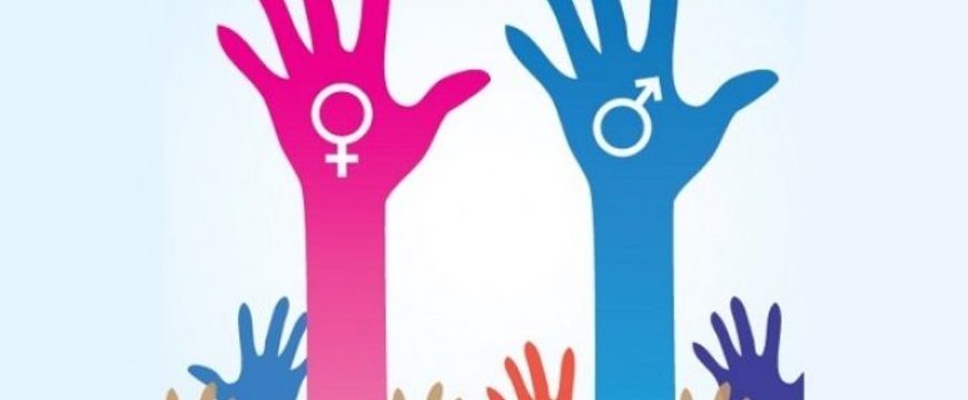 gender-equality-1-675x443.jpg