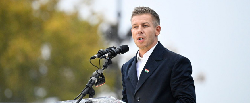 Fricz Tamás: Kilenc kérdésem Magyar Péterhez