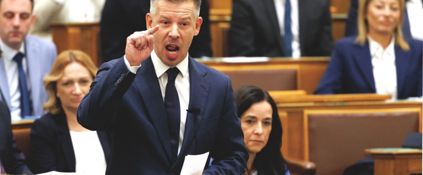 Mint hal a vízben