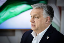 Pokol Béla: Szocialista címke a krumpliszsákokon